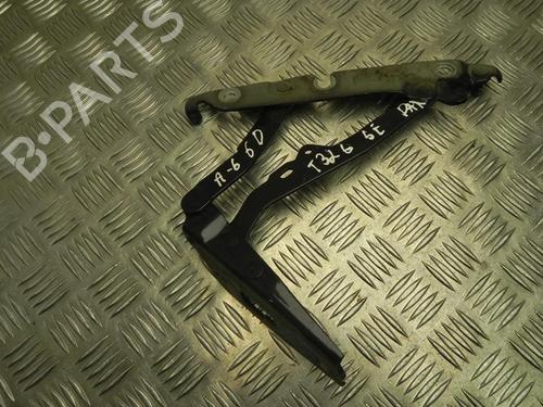 Hinge/Door check strap AUDI A6 C6 (4F2) 2.7 TDI | BP28926216C146 