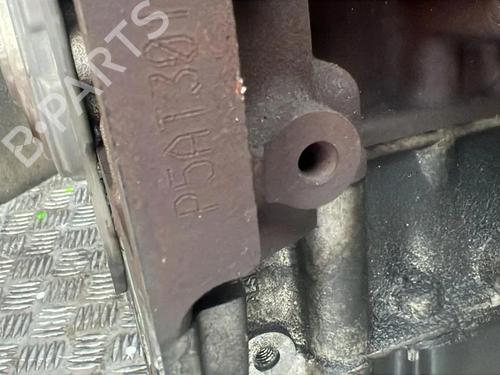 Engine FORD RANGER (TKE) 3.2 TDCi 4x4 | BP30619707M1 