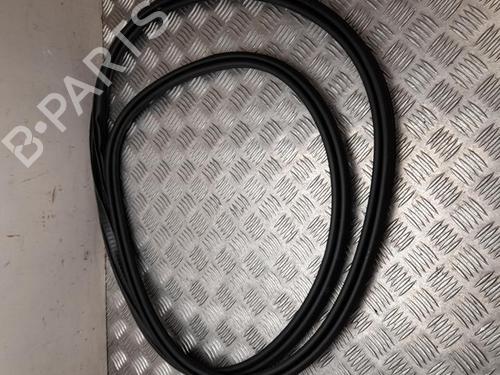 Gummiliste VOLVO XC60 II (246) T5 | BP37547997C142 - Image 2