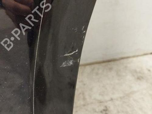 Left rear door PORSCHE PANAMERA (971) 2.9 4 E-Hybrid (97ABE1, 97BBE1, 97ABX1) | BP28915547C4 
