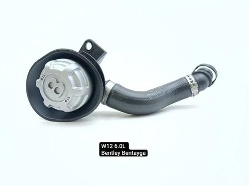 Rør Rør BENTLEY BENTAYGA (4V1) 6.0 (608 hp) 33847915 33847915