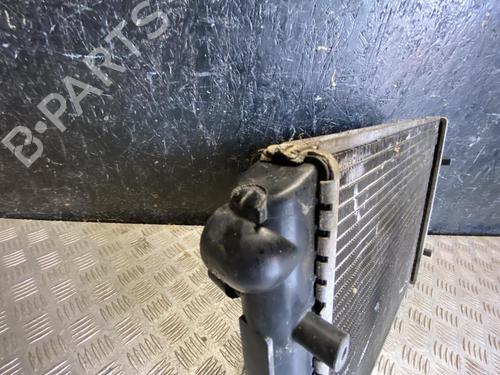 Water radiator LIGIER IXO 0.5 | BP37562107M31 - Image 3
