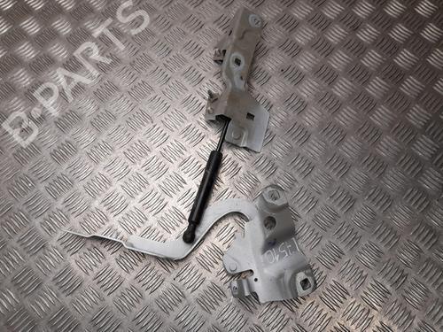 Hinge/Door check strap RENAULT ZOE (BFM_) ZOE | BP28921365C146 