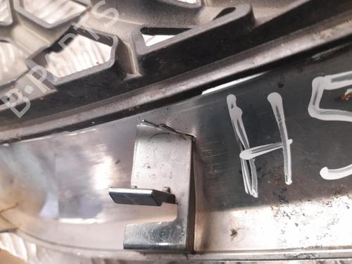 Grill FORD USA EDGE 2.0 TDCi Bi-Turbo AWD | BP37568291C40 - Image 6