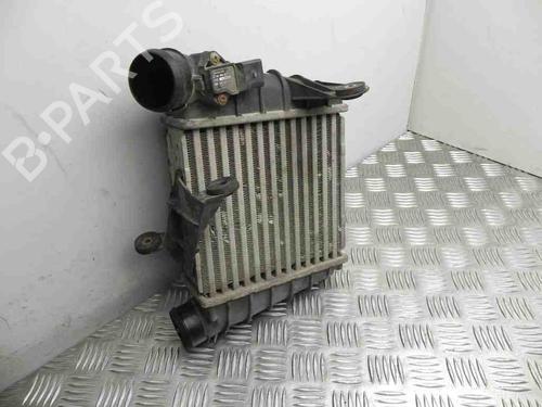 Used Intercooler SKODA FABIA I (6Y2) 1.4 TDI (75 hp) 28948073