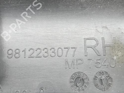Step CITROËN C3 III (SX) 1.2 VTi 82 | BP28943419C149 