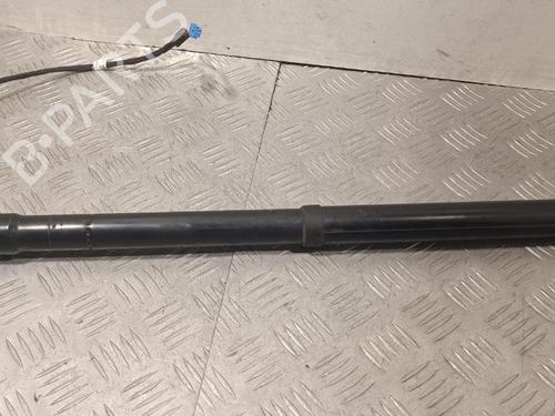 Used Hinge/Door check strap PORSCHE PANAMERA (970) 3.6 4 (300 hp) 28929184