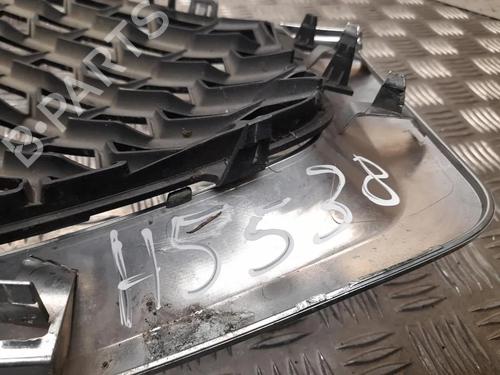 Grill FORD USA EDGE 2.0 TDCi Bi-Turbo AWD | BP31338494C40 