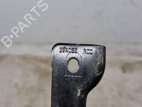Hinge/Door check strap RENAULT ZOE (BFM_) ZOE | BP28912704C146 