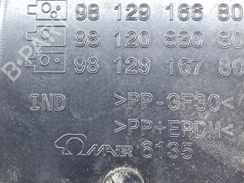 Fuel flap CITROËN C3 III (SX) 1.2 THP 110 (SXHNPS, SXHNZT, SXHNZ6) | BP28939191C131 