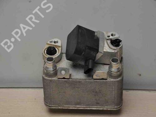 Køler BMW X3 (G01, F97, G08) iX3 | BP28912449M31