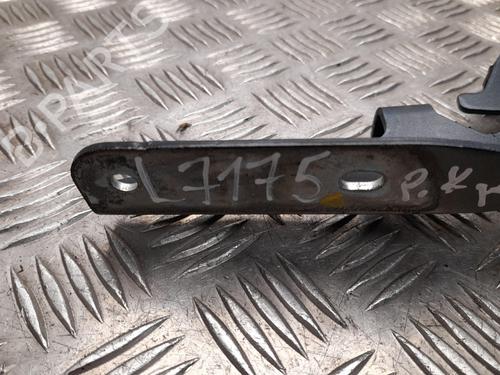 Hinge/Door check strap NISSAN JUKE (F16_) DIG-T 117 | BP28933285C146