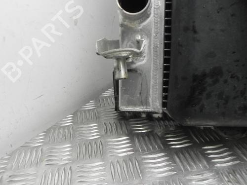 Kølerpakke FORD USA MUSTANG Convertible 4.6 V8 | BP28944789M120 