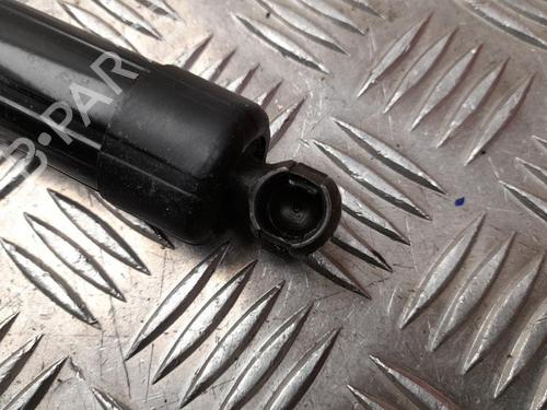 Tailgate lift support PORSCHE PANAMERA (970) 3.0 D | BP28925701C138 