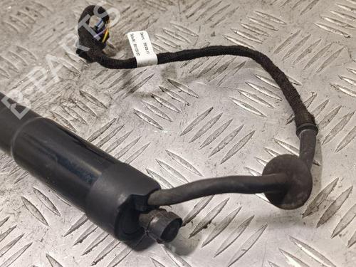 Hinge/Door check strap PORSCHE CAYENNE (92A) 3.6 | BP28912442C146 