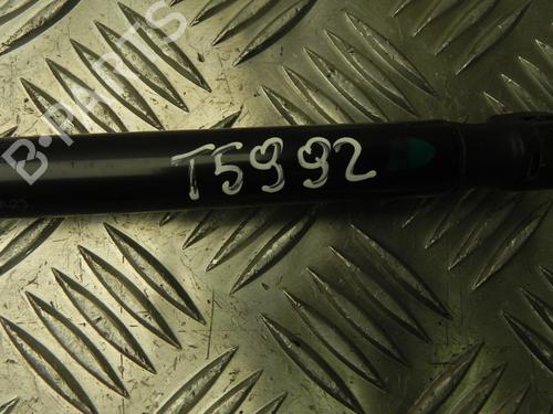 Tailgate lift support SKODA YETI (5L) 2.0 TDI 4x4 | BP28938644C138 