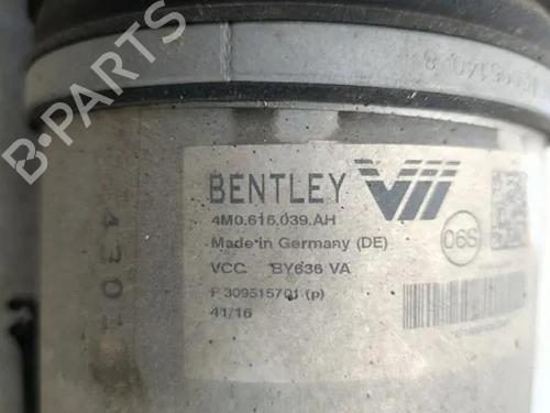 Left front shock absorber BENTLEY BENTAYGA (4V1) 6.0 | BP33938289M16  - Image 9