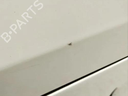 Left rear door PORSCHE CAYENNE (92A) 4.8 S | BP28909443C4 