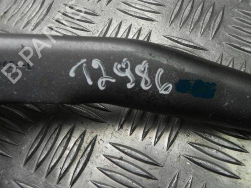 Hinge/Door check strap RENAULT SCÉNIC III (JZ0/1_) 1.5 dCi | BP28928285C146 