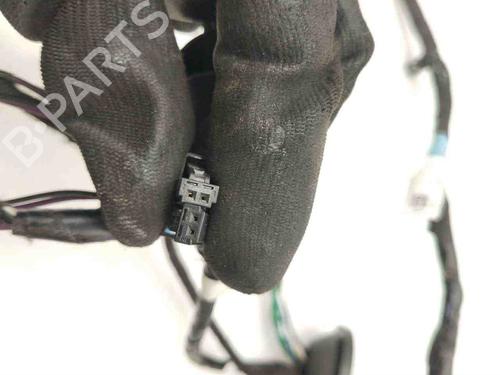 Wiring harness TESLA MODEL S (5YJS) P85 | BP28916063E16 