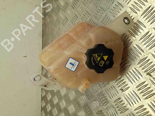 Ekpansionstank ALFA ROMEO STELVIO (949_) 2.9 Q4 (949.AXH2A) (519 hp) 28915595