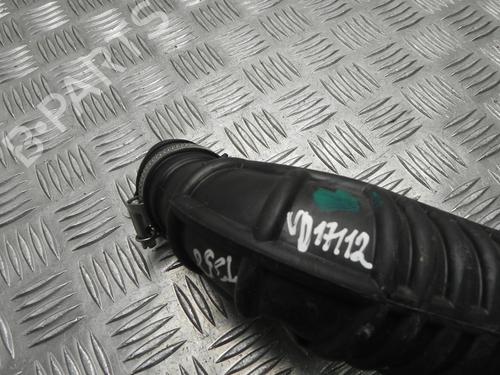 Pipe NISSAN QASHQAI II (J11, J11_) 1.2 DIG-T | BP28912110M125 