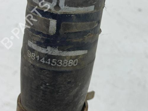 Other CITROËN C3 III (SX) 1.2 THP 110 (SXHNPS, SXHNZT, SXHNZ6) | BP28931661O1