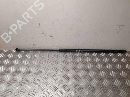 Used Tailgate lift support RENAULT KANGOO / GRAND KANGOO II (KW0/1_) 1.5 dCi (65 hp) 28920547