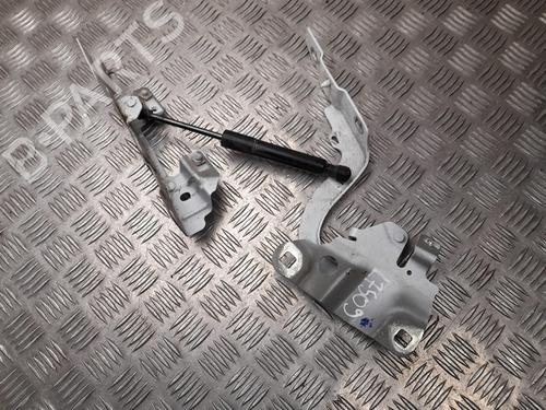 Hinge/Door check strap RENAULT ZOE (BFM_) ZOE | BP28948269C146 