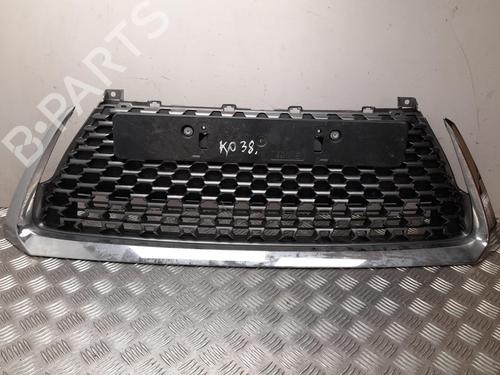 Used Grille LEXUS CT (ZWA10_) 200h (ZWA10_) (99 hp) 28927162