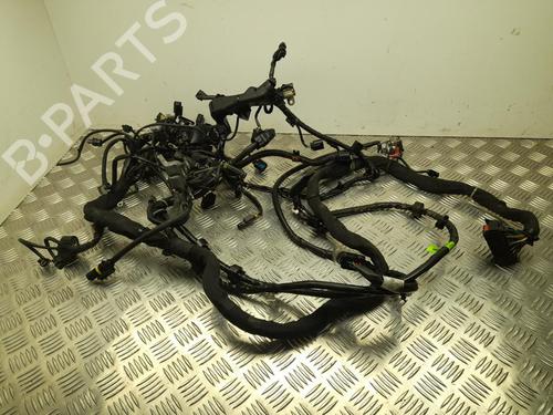 Wiring harness MERCEDES-BENZ E-CLASS Coupe (C207) E 350 CDI (207.323) | BP37549762E16 - Image 3