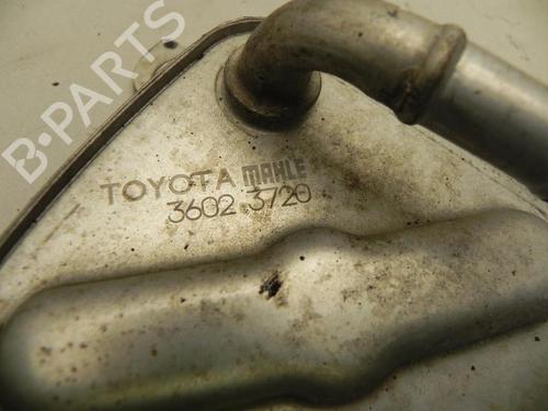 Oil radiator LEXUS IS III (_E3_) 300h (AVE30_, AVE30R) | BP37556439M33 - Image 2