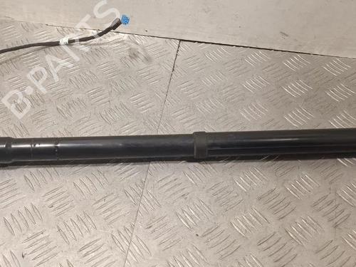 Used Hinge/Door check strap Hinge/Door check strap PORSCHE PANAMERA (970) 3.6 4 (300 hp) 28929184 28929184