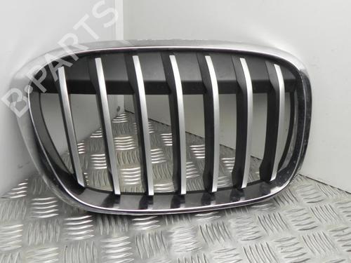 Used Grille BMW X1 (F48) xDrive 20 i (192 hp) 28944204