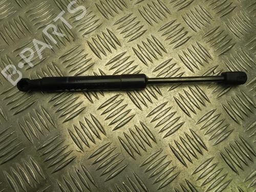 Used Hood lift support RENAULT SCÉNIC III (JZ0/1_) 1.5 dCi (110 hp) 28916194