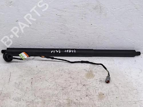 Used Tailgate lift support FORD KUGA III (DFK) 1.5 EcoBlue (120 hp) 31133699