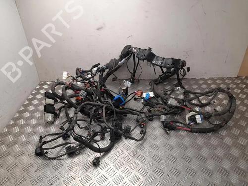 Used Wiring harness Wiring harness TESLA MODEL S (5YJS) P100D AWD (772 hp) 35810778 35810778