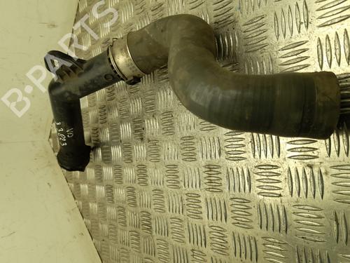 Pipe RENAULT MEGANE III Hatchback (BZ0/1_, B3_) 1.5 dCi (BZ09, BZ0D, BZ1W, BZ29, BZ14) | BP28925343M125