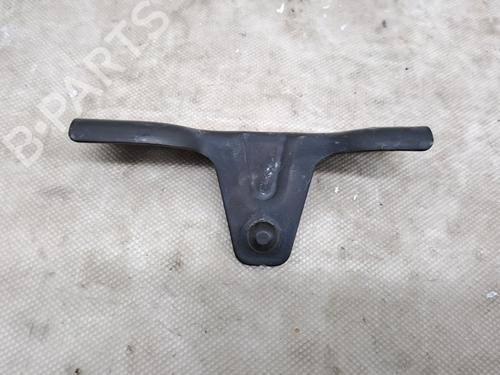 Hinge/Door check strap RENAULT ZOE (BFM_) ZOE | BP28912704C146 