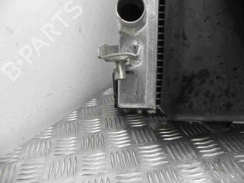 Kølerpakke FORD USA MUSTANG Convertible 4.6 V8 | BP28944789M120 