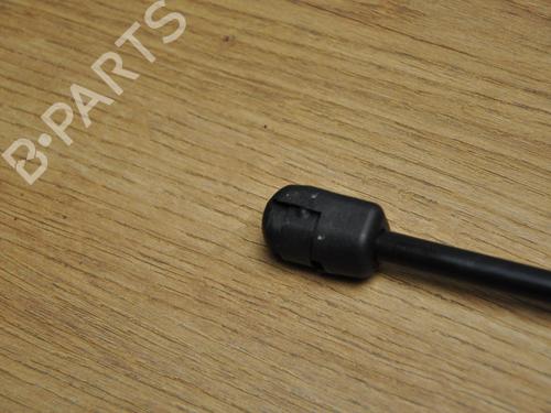 Hood lift support VOLVO S90 II (234) D4 | BP28925012C139 