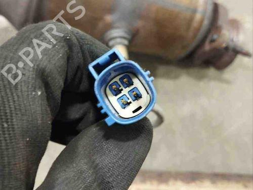 Catalyst JAGUAR XF I (X250) 3.0 | BP28926034M10 