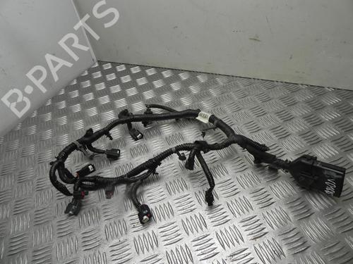 Cablaggio Cablaggio CHRYSLER GRAND VOYAGER V (RT) 3.6 (283 hp) 37541020 37541020