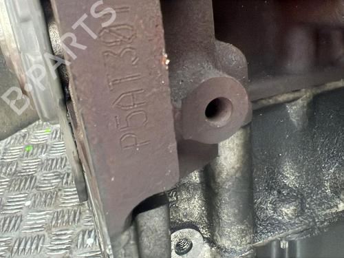 Engine FORD RANGER (TKE) 3.2 TDCi 4x4 | BP37566806M1 - Image 6