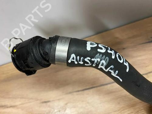 Pipe RENAULT AUSTRAL E-TECH 200 Hybrid (HGM2) | BP31975831M125