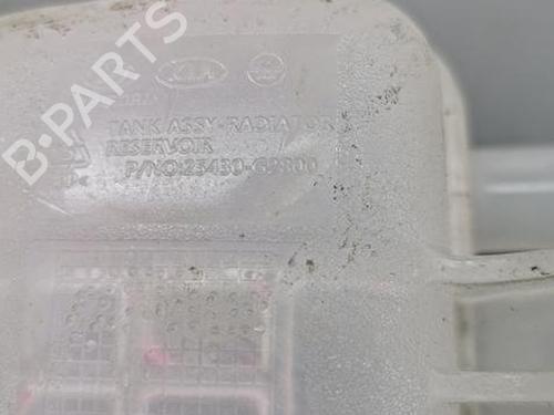 Expansion tank HYUNDAI IONIQ (AE) 1.6 GDI Hybrid | BP28918669C120 