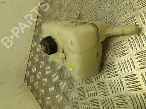 Expansion tank RENAULT KANGOO / GRAND KANGOO II (KW0/1_) 1.5 dCi | BP28922392C120 
