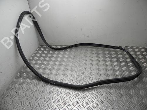 Gummiliste Gummiliste HYUNDAI KONA (OS, OSE, OSI) EV (204 hp) 37546782 37546782