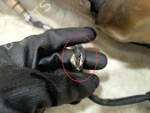 Catalyst MASERATI QUATTROPORTE VI 3.8 GT S | BP28926060M10 - Image 2