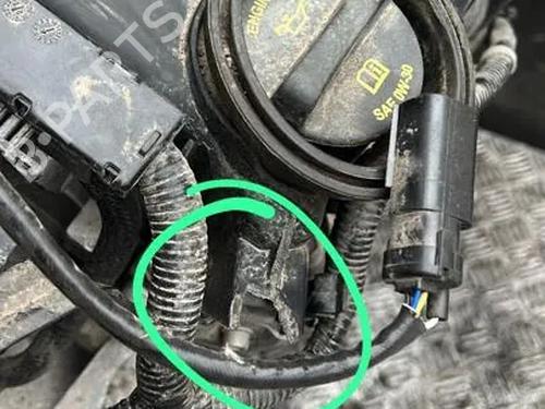 Engine ALFA ROMEO GIULIA (952_) 2.0 (952ABA25B) | BP31296088M1 